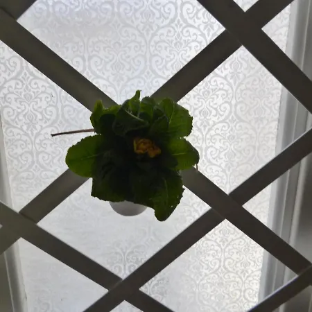 Sailor's House Apartament